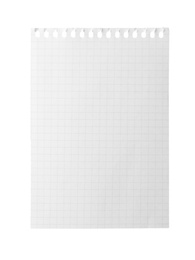 Blank notebook paper isolated on white. Space for design