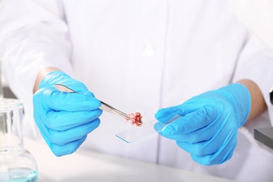 Photo of Scientist holding tweezers with forcemeat sample over table, closeup