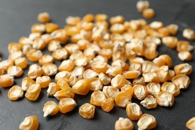 Raw dry corn seeds on grey background, closeup. Vegetable planting