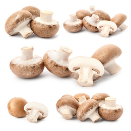  Set with fresh champignon mushrooms on white background