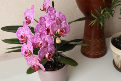 Beautiful pink orchid flower on white table, closeup