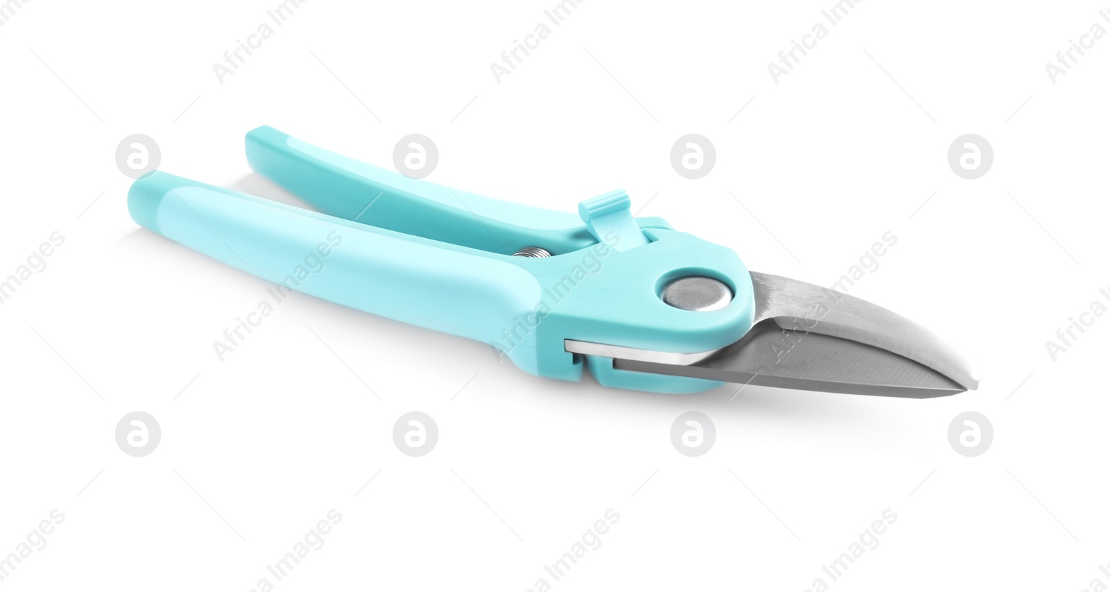 Photo of New pruner on white background. Professional gardening tool