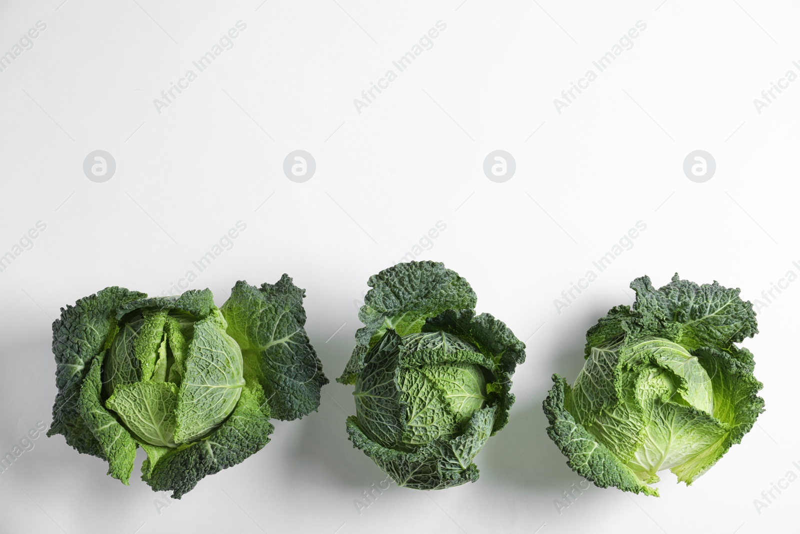 Photo of Fresh savoy cabbages on white background, top view