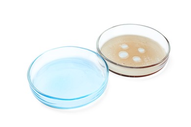 Petri dishes with color liquids on white background