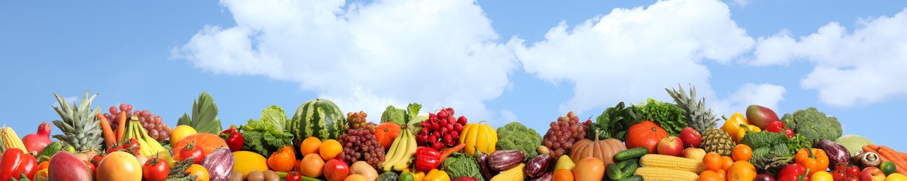 Image of Assortment of fresh organic fruits and vegetables outdoors. Banner design