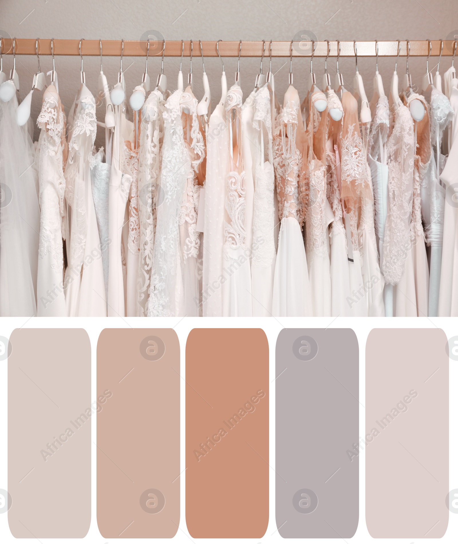 Image of Color palette appropriate to photo of wedding dresses in boutique on rack in room