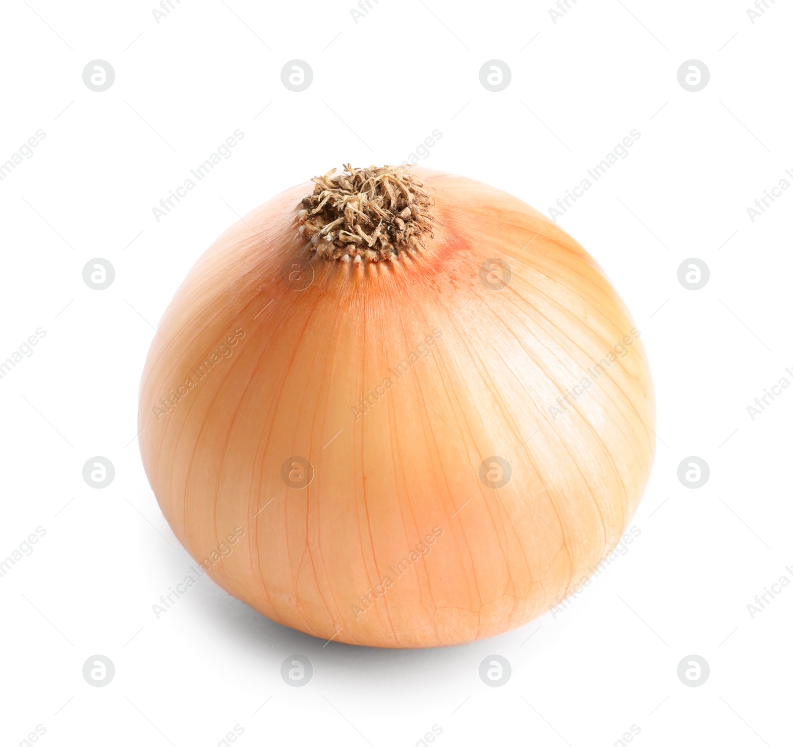 Photo of Fresh ripe onion bulb on white background