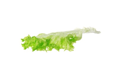 Photo of Fresh green lettuce leaf isolated on white