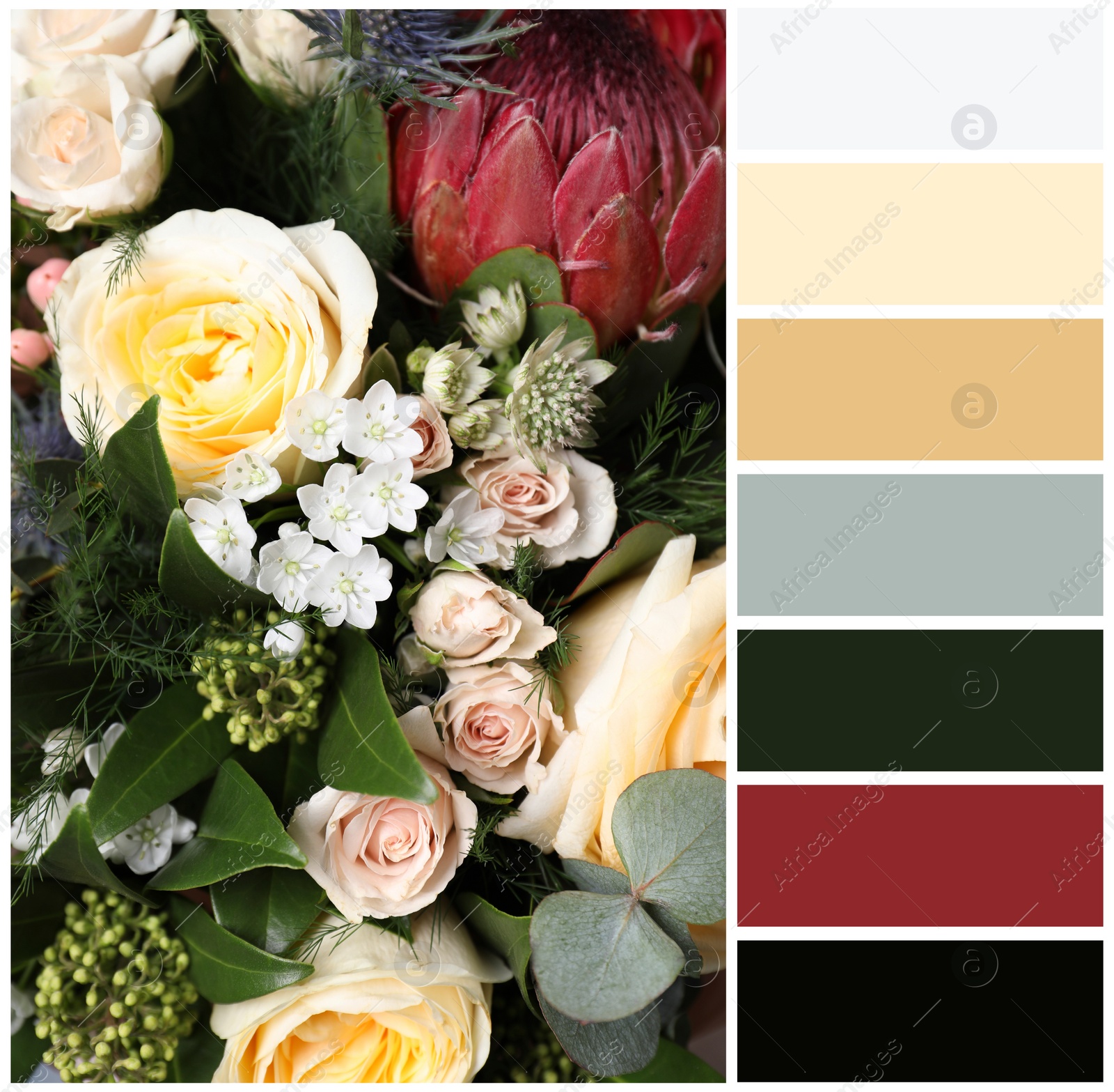 Image of Beautiful fresh flowers and color palette. Collage