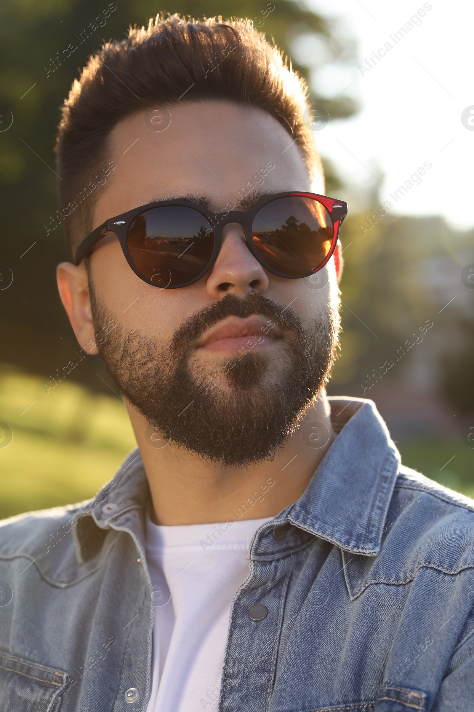 Photo of Handsome man in sunglasses outdoors on sunny day