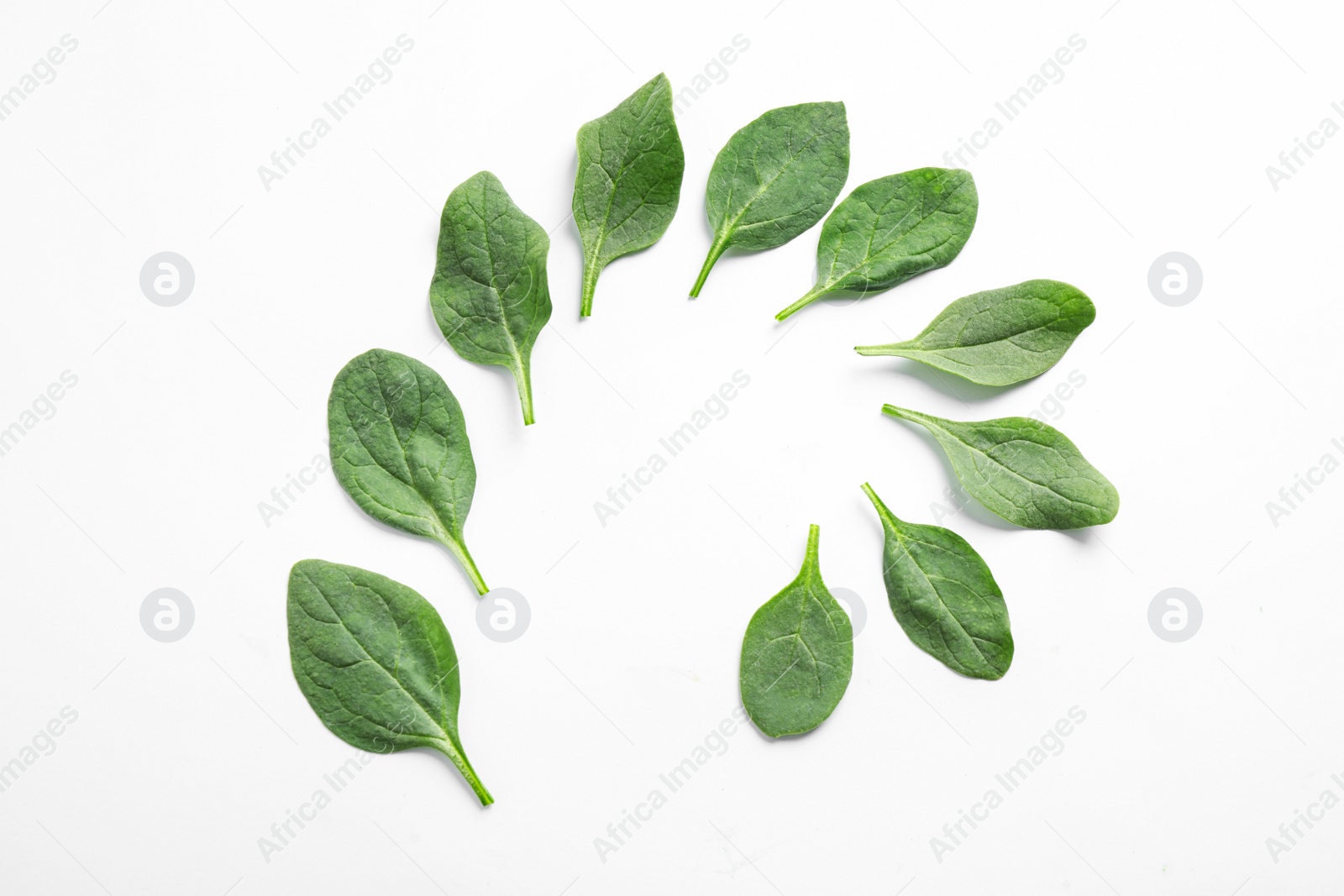 Photo of Frame made of fresh green healthy spinach leaves on white background, top view