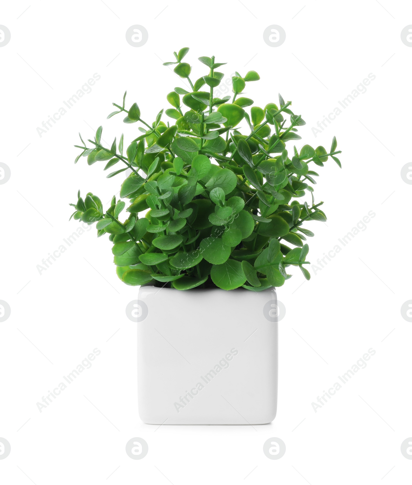 Photo of Beautiful artificial plant in flower pot isolated on white