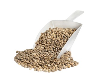 Plastic scoop with hemp seeds on white background