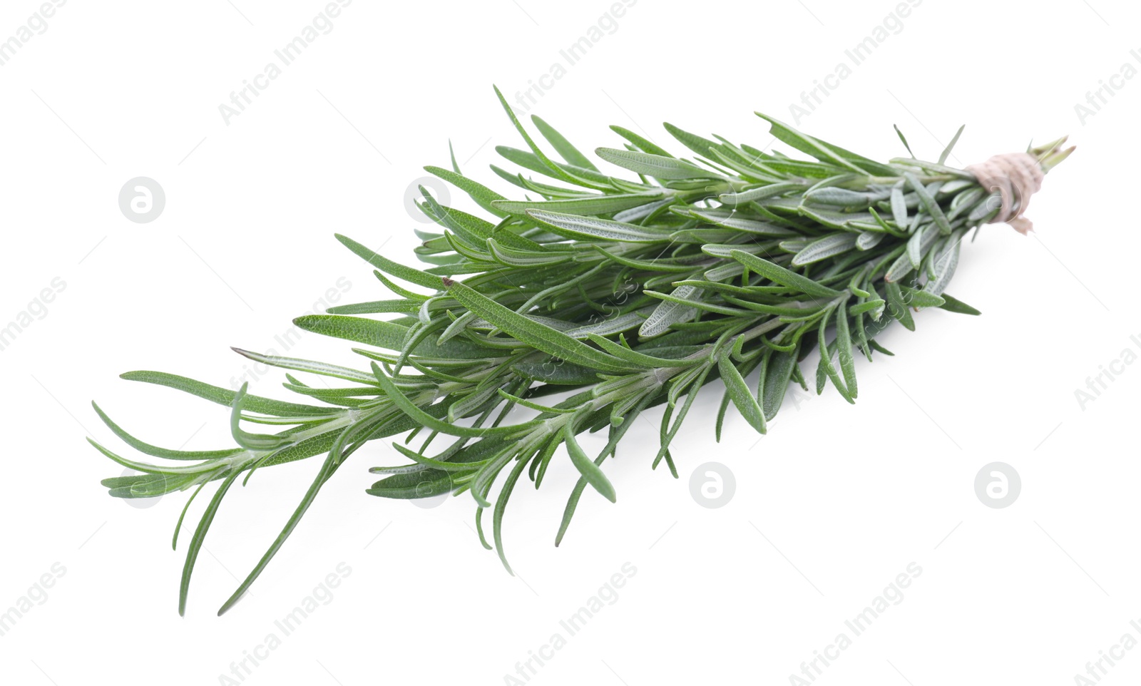 Photo of Fresh rosemary twigs tied with twine isolated on white