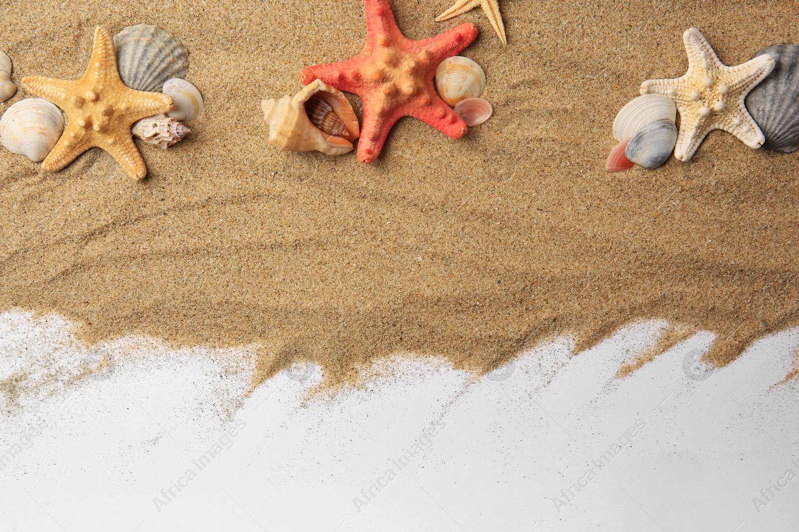 Photo of Beautiful sea stars, shells and sand on white background, flat lay. Space for text