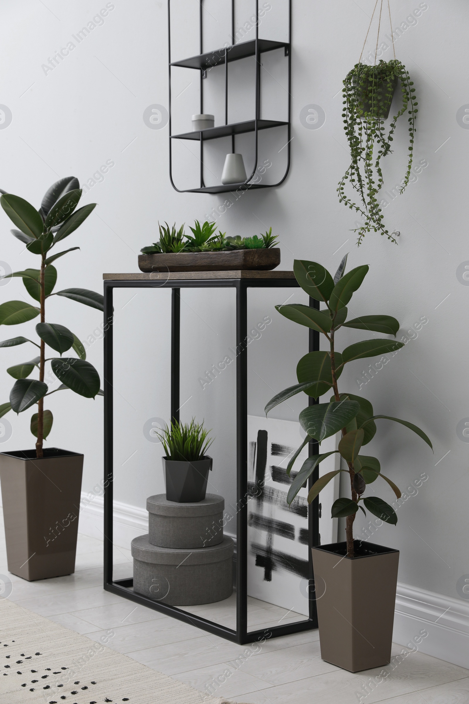 Photo of Console table with houseplants near light wall in room. Interior design