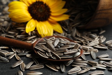 Photo of Organic sunflower seeds and flower on grey table