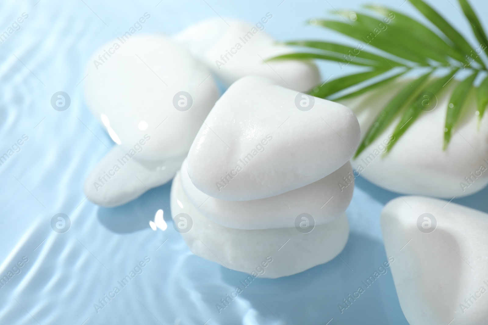 Photo of Spa stones in water on light blue background, closeup