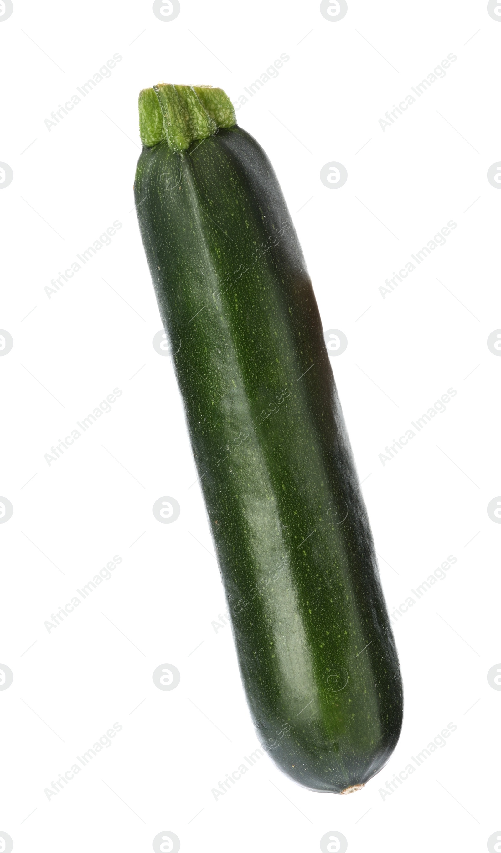 Photo of Fresh ripe green zucchini squash isolated on white