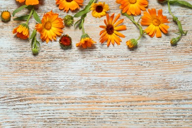 Beautiful fresh calendula flowers on wooden table, flat lay. Space for text