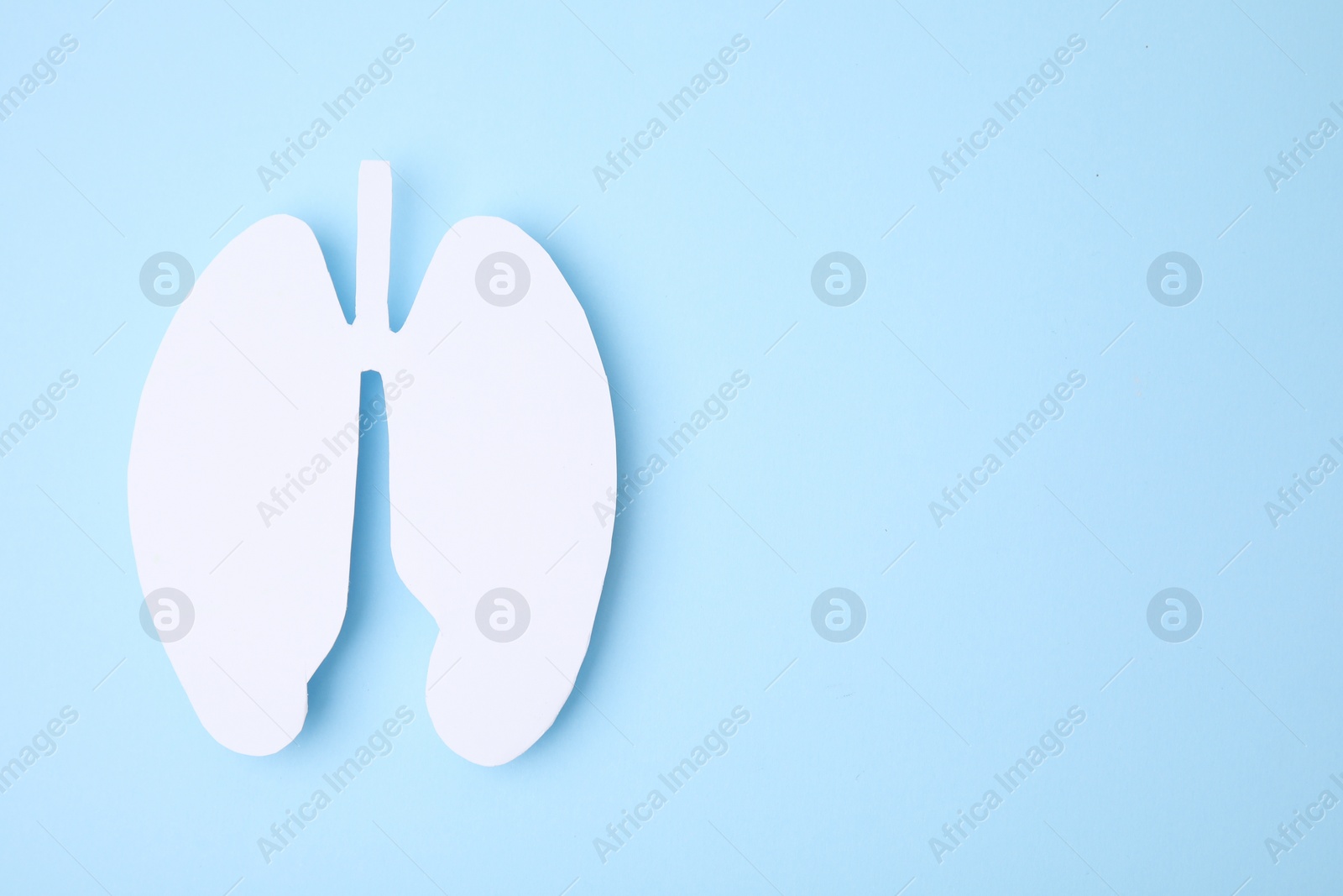 Photo of No smoking concept. Paper lungs on light blue background, top view with space for text