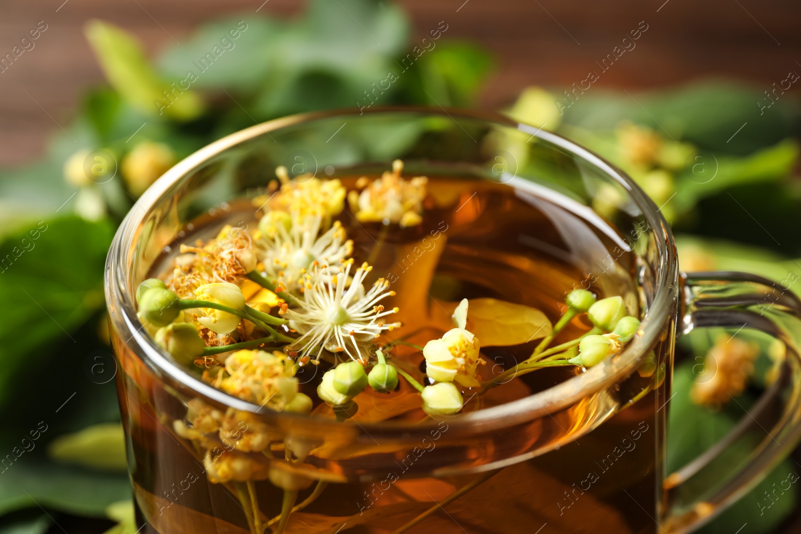 Photo of Cup of tea with linden blossom on blurred background, closeup