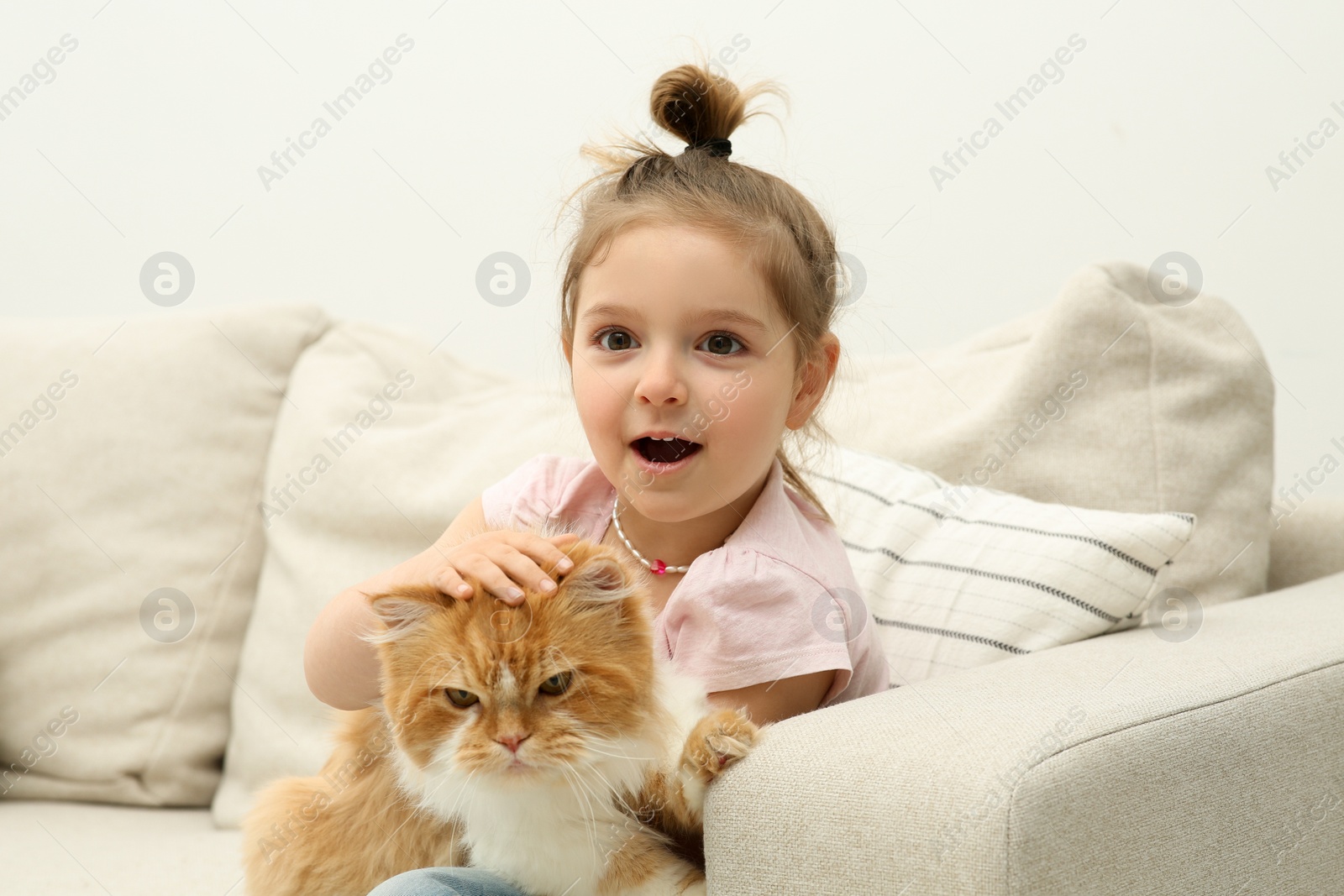 Photo of Cute little girl with adorable cat on sofa at home