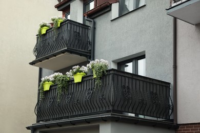 Stylish balconies decorated with beautiful potted flowers