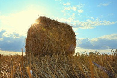 Photo of Agricultural field with hay bale, low angle view