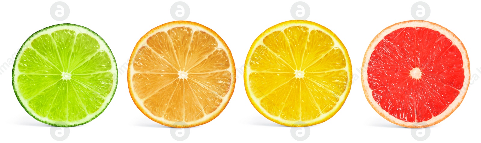 Image of Set of different citrus slices on white background, top view. Banner design