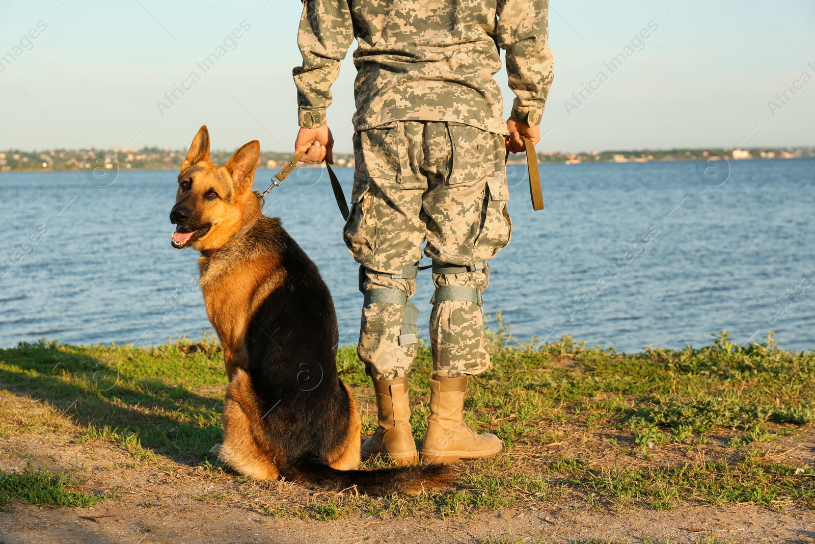 Photo of Man in military uniform with German shepherd dog outdoors, closeup