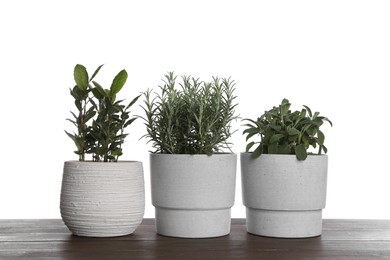 Photo of Pots with bay, sage and rosemary on wooden table against white background
