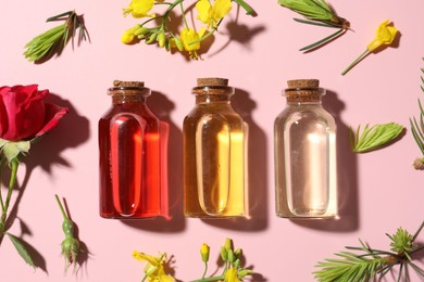 Aromatherapy. Different essential oils, fir twigs and flowers on pink background, flat lay