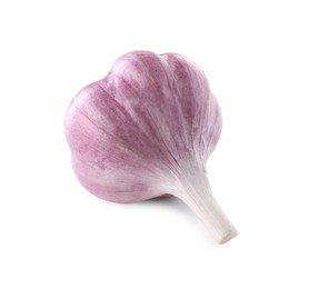 Photo of Fresh raw garlic head isolated on white