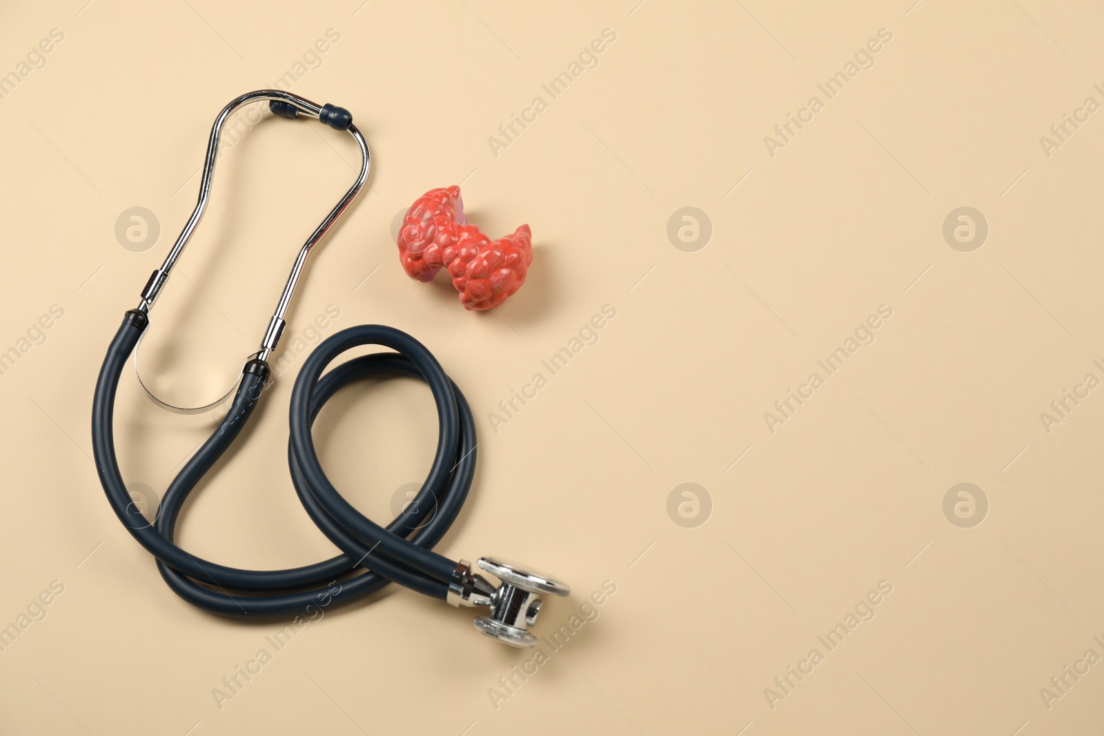 Photo of Endocrinology. Stethoscope and model of thyroid gland on beige background, top view. Space for text