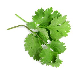 Photo of Fresh green coriander leaves on white background, top view