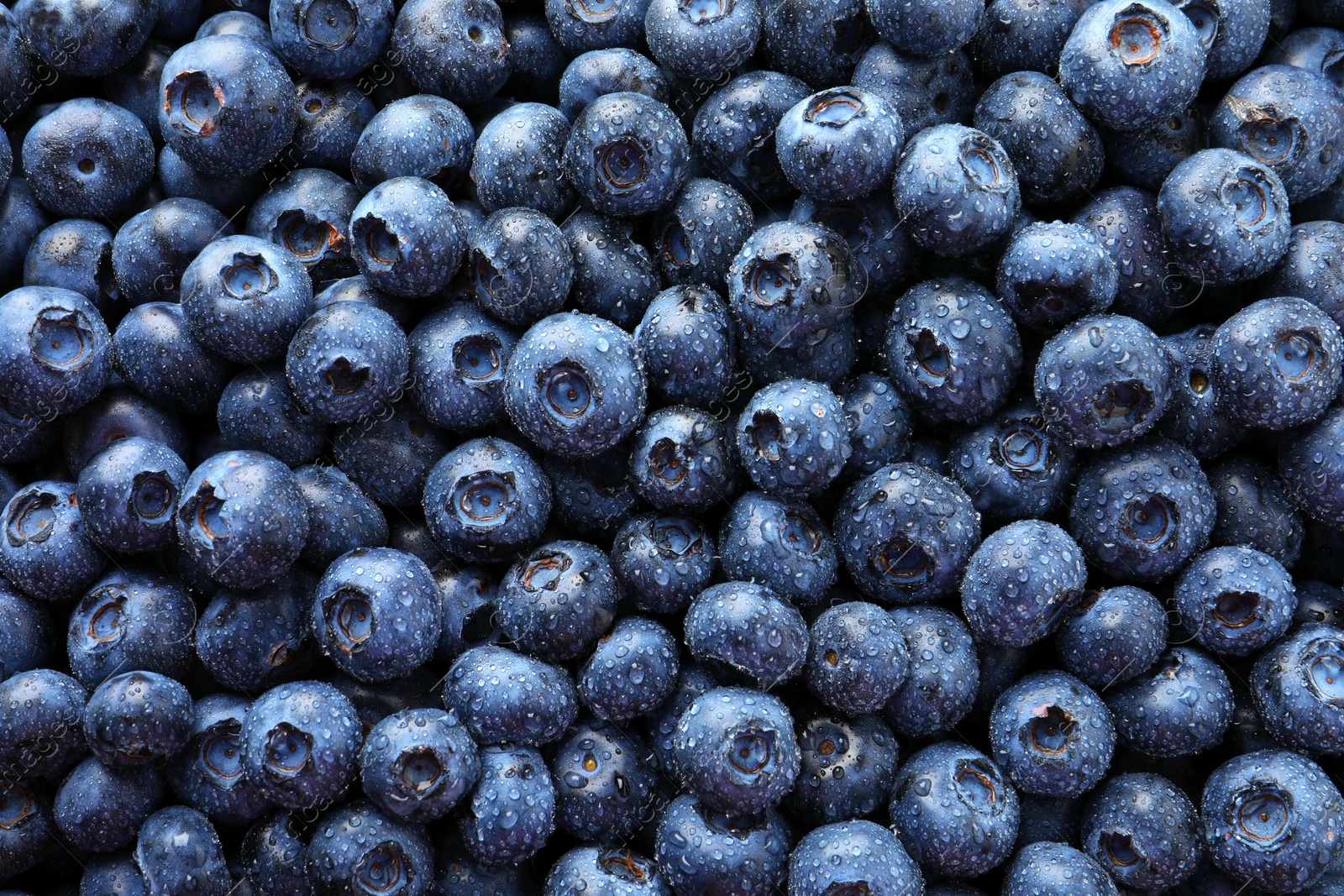 Photo of Wet fresh blueberries as background, top view