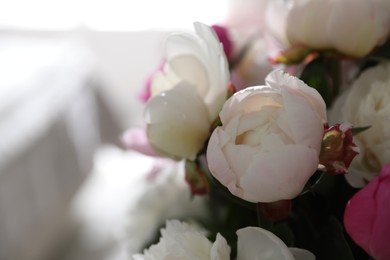 Photo of Beautiful blooming peonies against blurred background, closeup