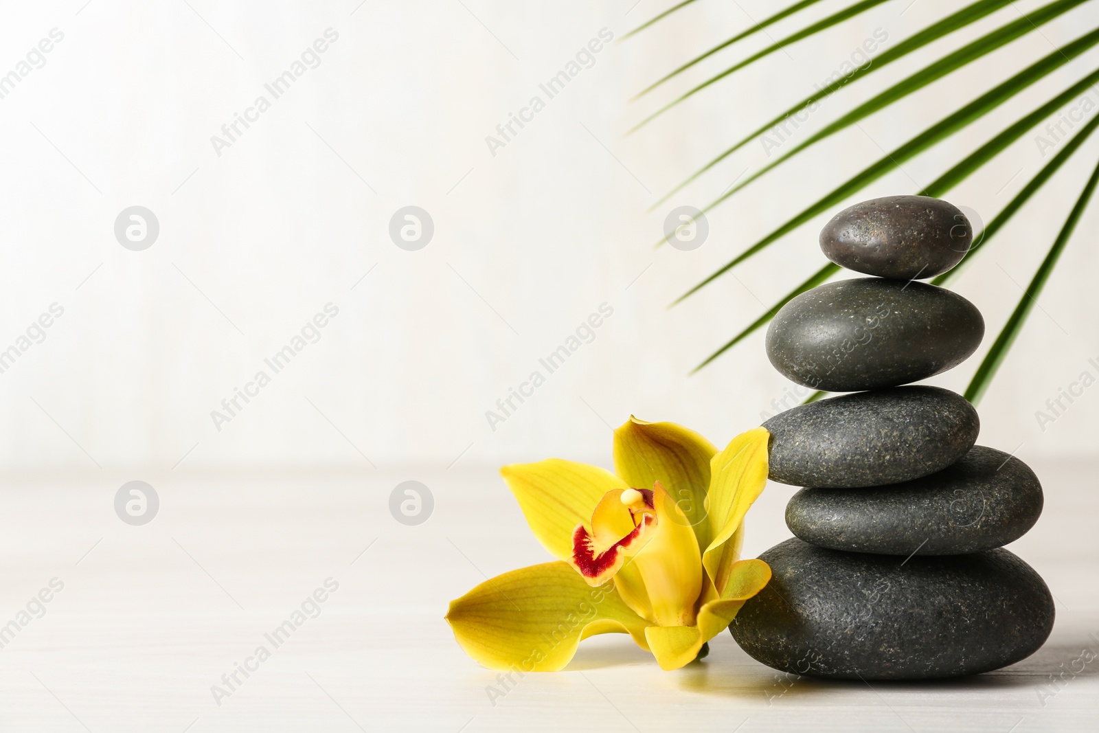 Photo of Stack of spa stones, palm leaf and flower on table against white background, space for text