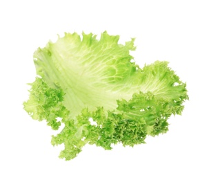 Photo of Fresh green lettuce leaf on white background