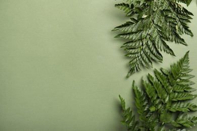 Beautiful tropical fern leaves on light green background, flat lay. Space for text