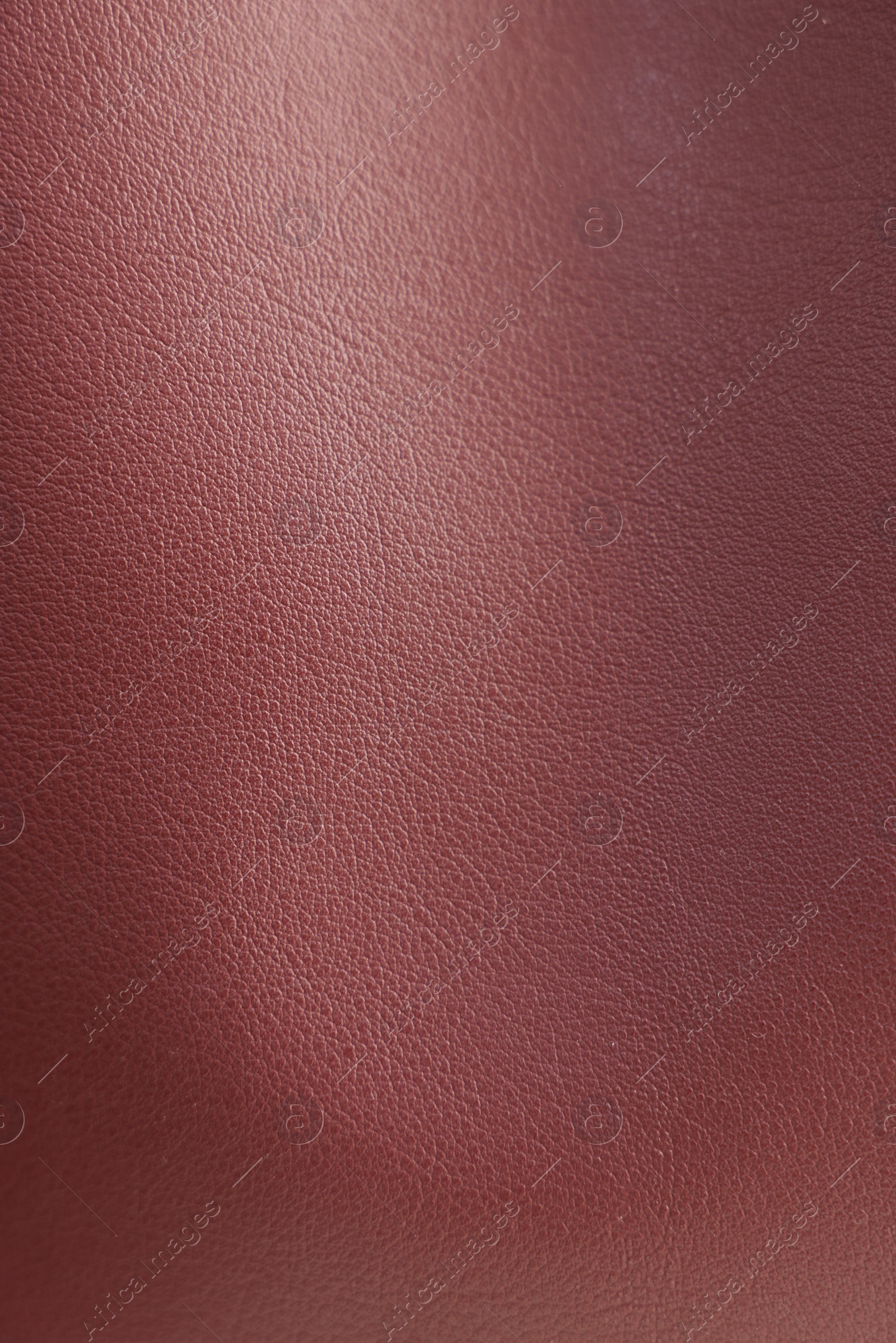 Photo of Texture of leather as background, closeup view