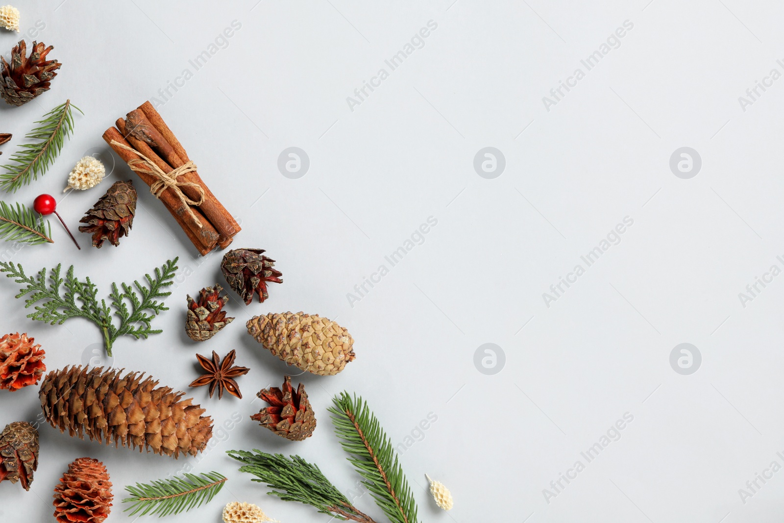 Photo of Flat lay composition with pinecones on white background, space for text