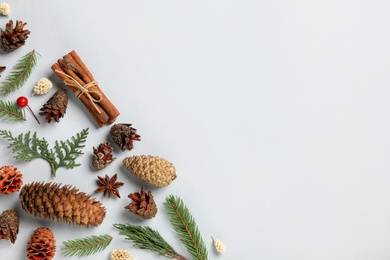 Photo of Flat lay composition with pinecones on white background, space for text