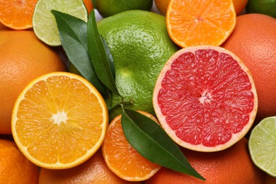 Photo of Different citrus fruits with fresh leaves as background, top view