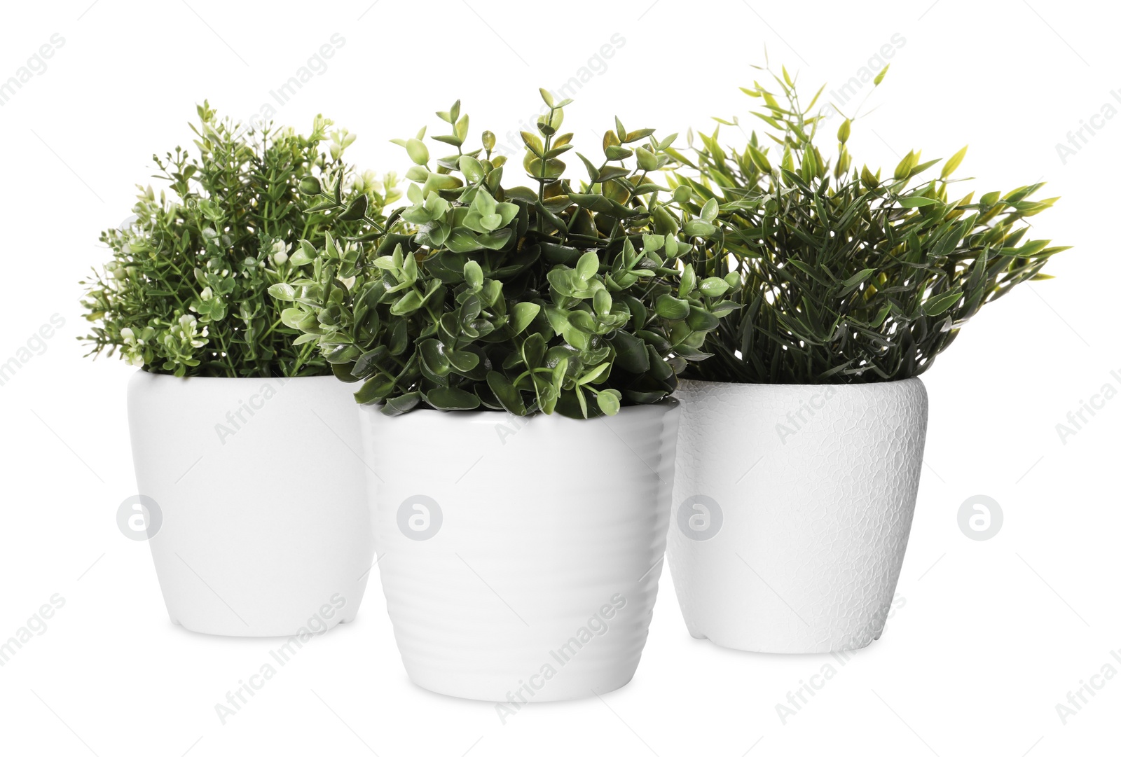 Photo of Artificial potted herbs on white background. Home decor