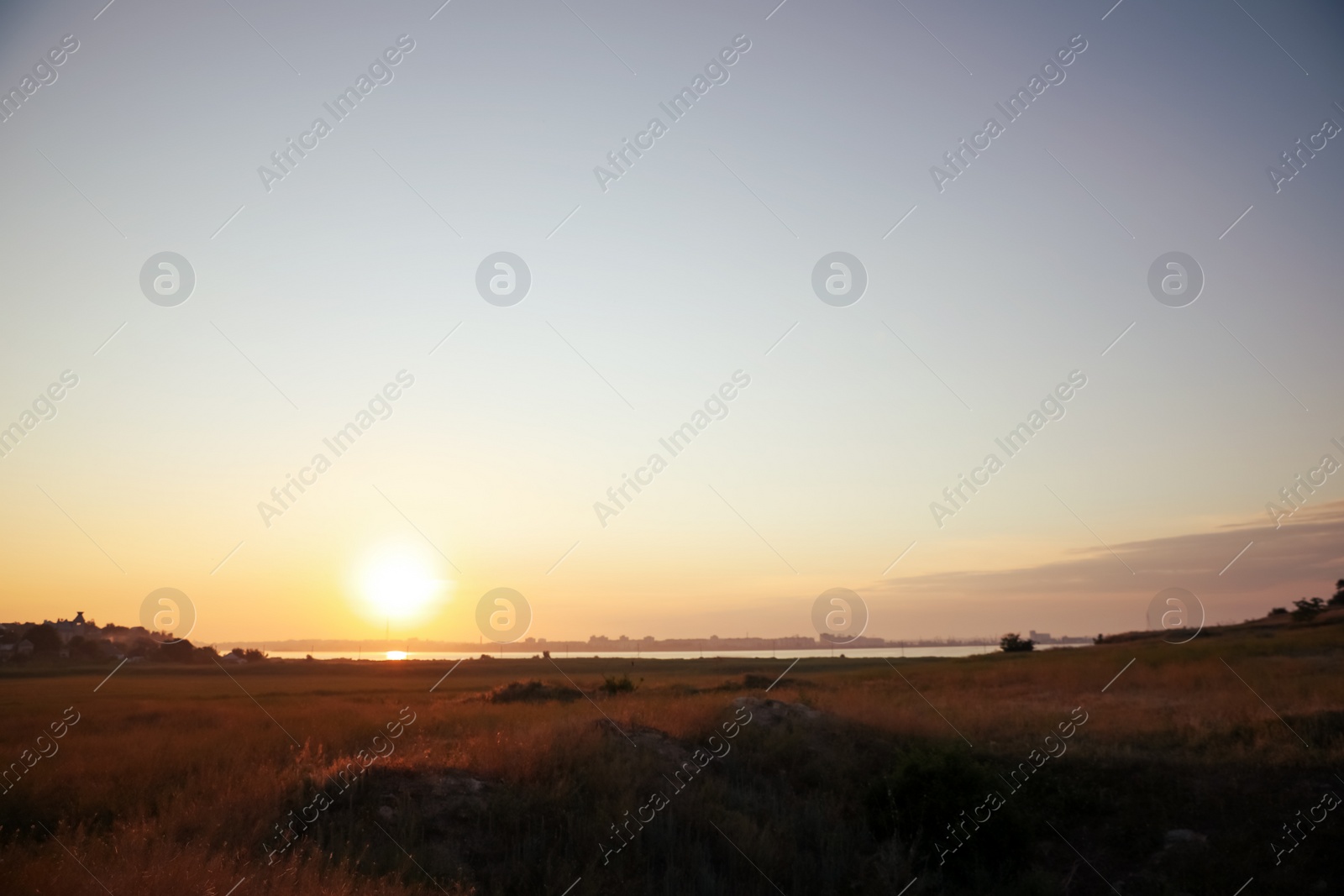 Photo of Beautiful view of field at sunrise. Early morning landscape