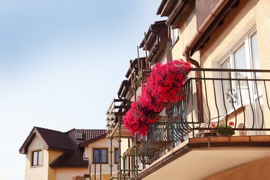 Balcony decorated with blooming beautiful flowers outdoors