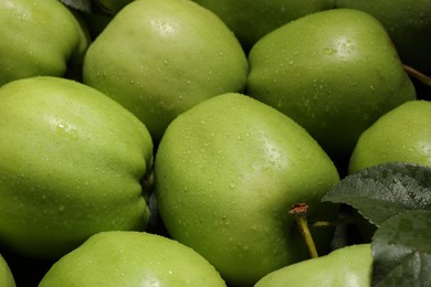 Fresh green apples with water drops as background, closeup