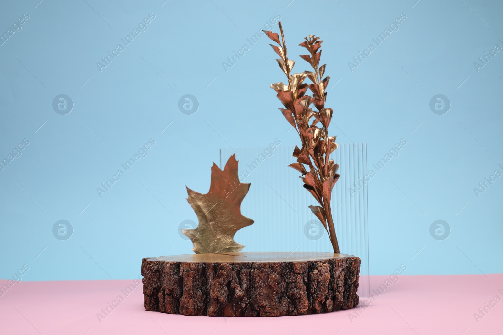 Photo of Autumn presentation for product. Wooden stump, geometric figure and golden leaves on color background